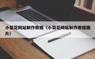 海丰小菊花网站制作教程（小菊花网站制作教程图片）