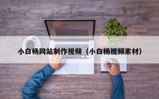 海丰小白杨网站制作视频（小白杨视频素材）