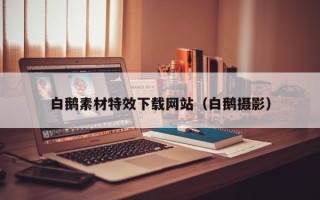 海丰白鹅素材特效下载网站（白鹅摄影）